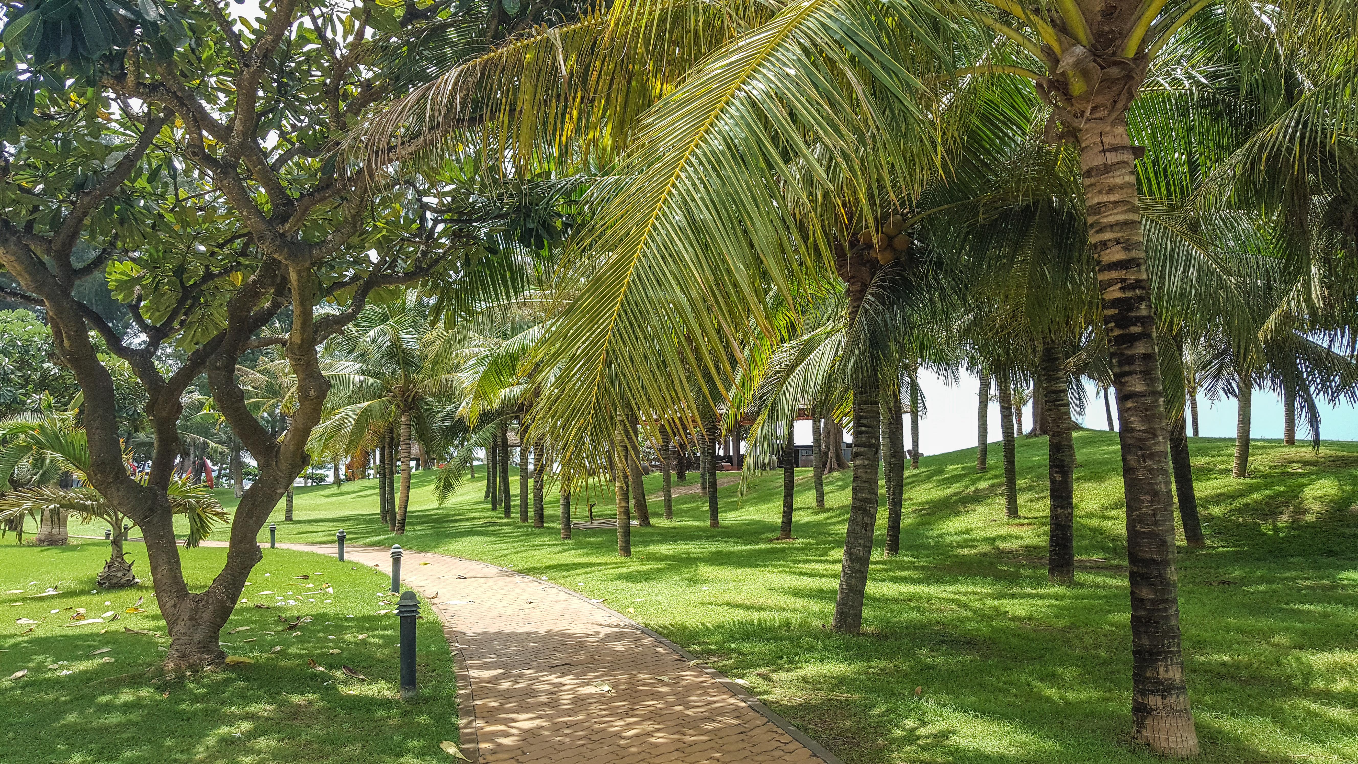 Phan Thiet Ocean Dunes Resort Buitenkant foto